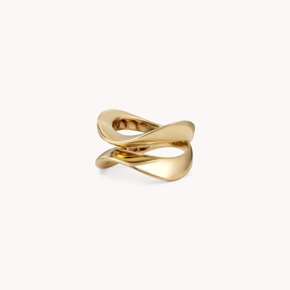 Zlatni prsten Waves
