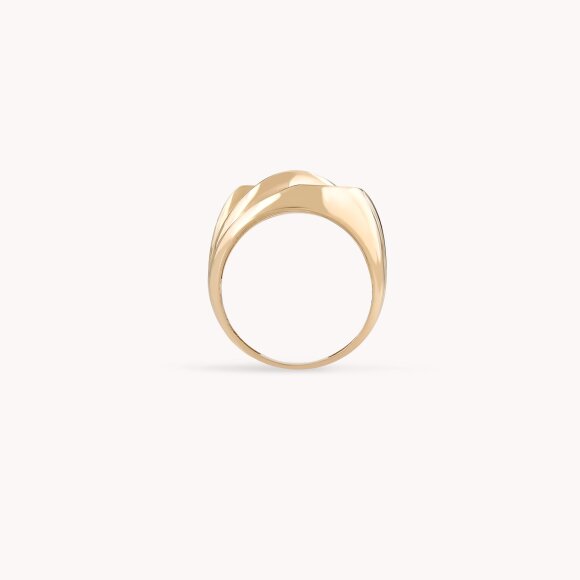 Zlatni prsten Attraction