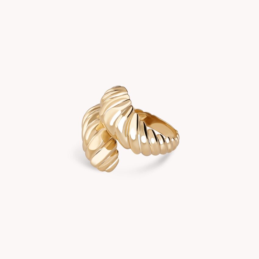 Zlatni prsten Duality