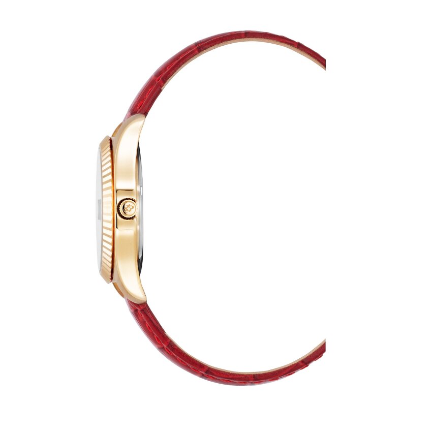 Sat JACQUES du MANOIR JWL02607