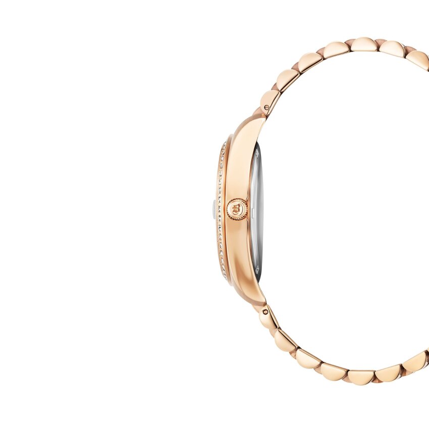 Sat JACQUES du MANOIR NROP.17