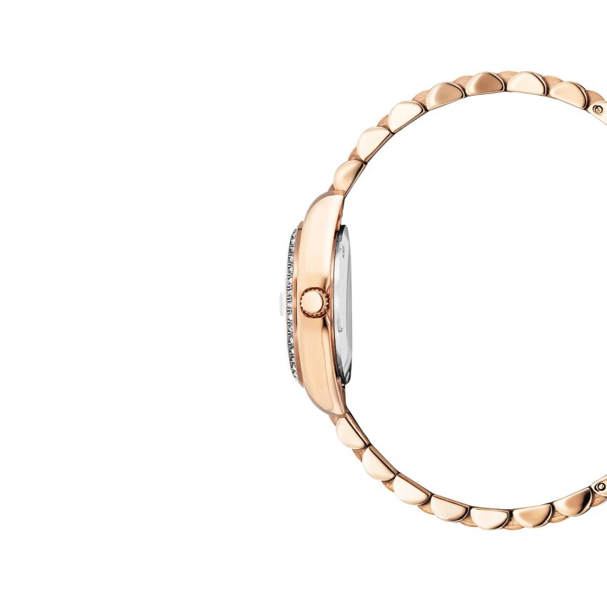 Sat JACQUES du MANOIR NROP.18