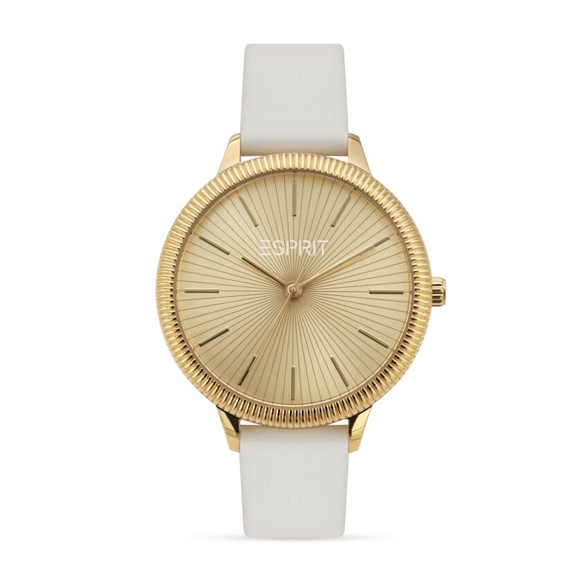 SAT ESPRIT H.88867688NL