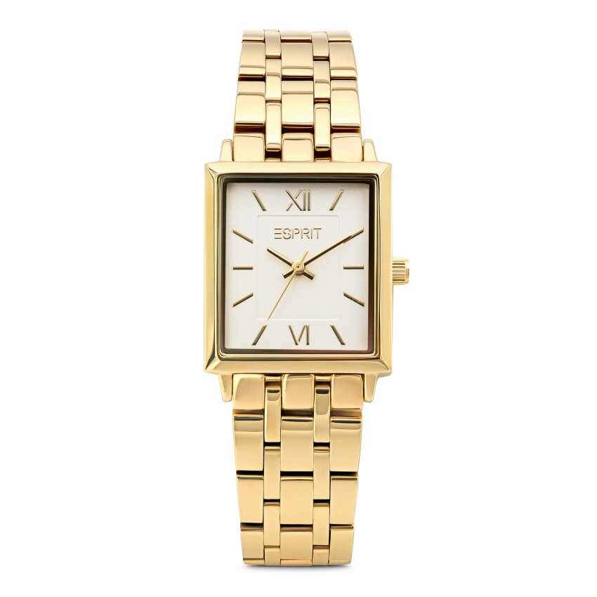 SAT ESPRIT H.88769384NL