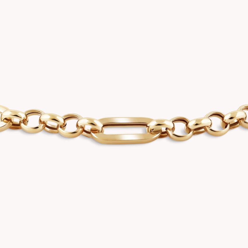 Zlatna narukvica Različitost karika