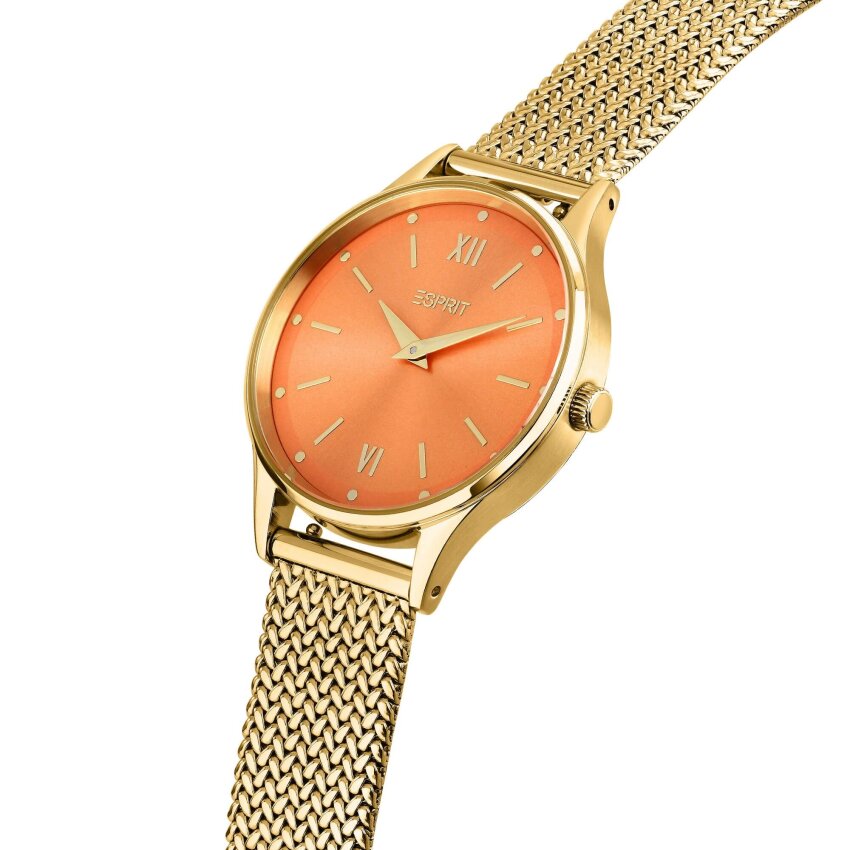 Sat ESPRIT R9153105502