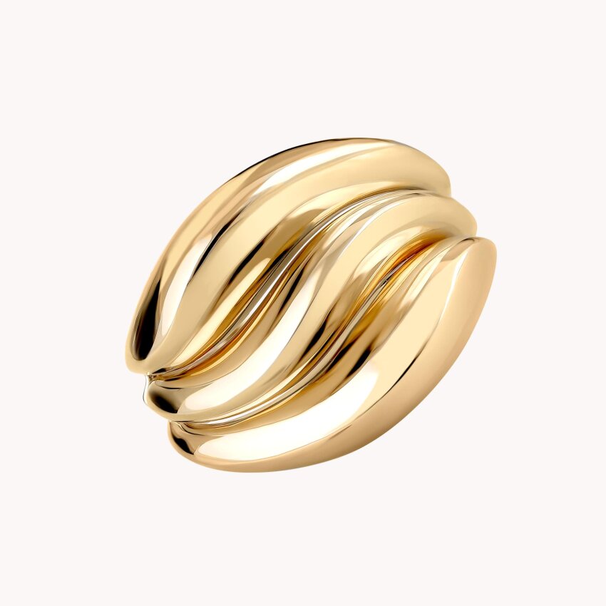 Zlatni prsten Posebnost elegancije