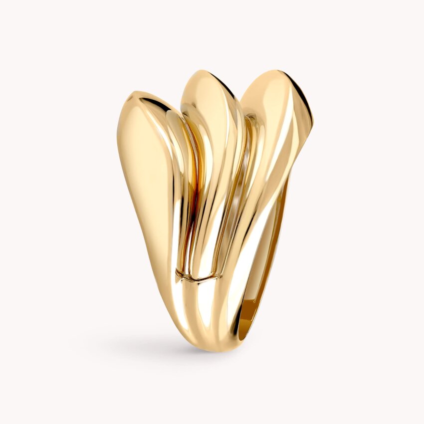 Zlatni prsten Posebnost elegancije