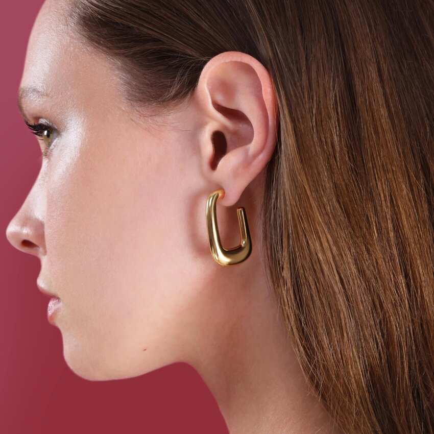 Srebrne naušnice Upečatljivi šarm Pozlata