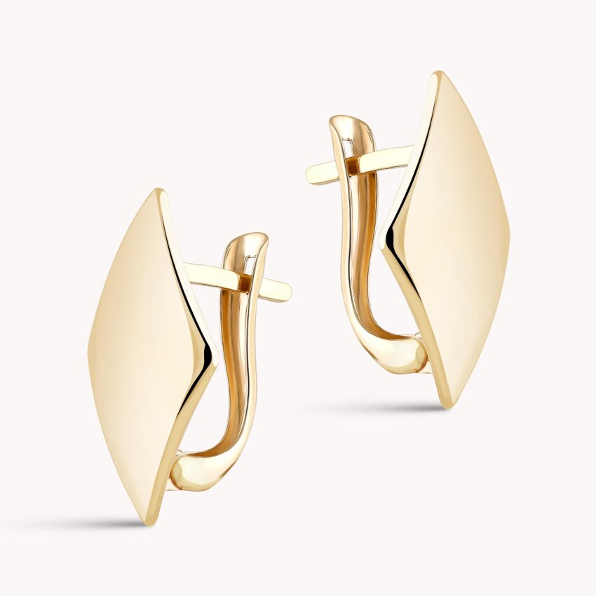 Zlatne naušnice Elegantni odraz