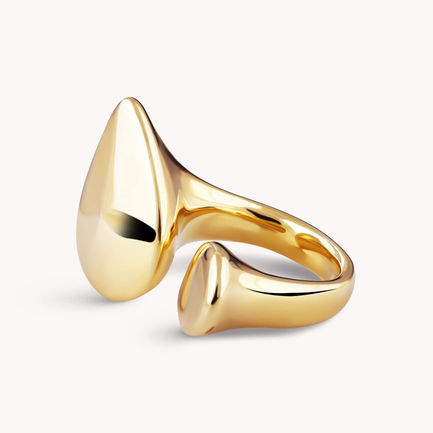 Srebrni prsten Prekrasna veza pozlata