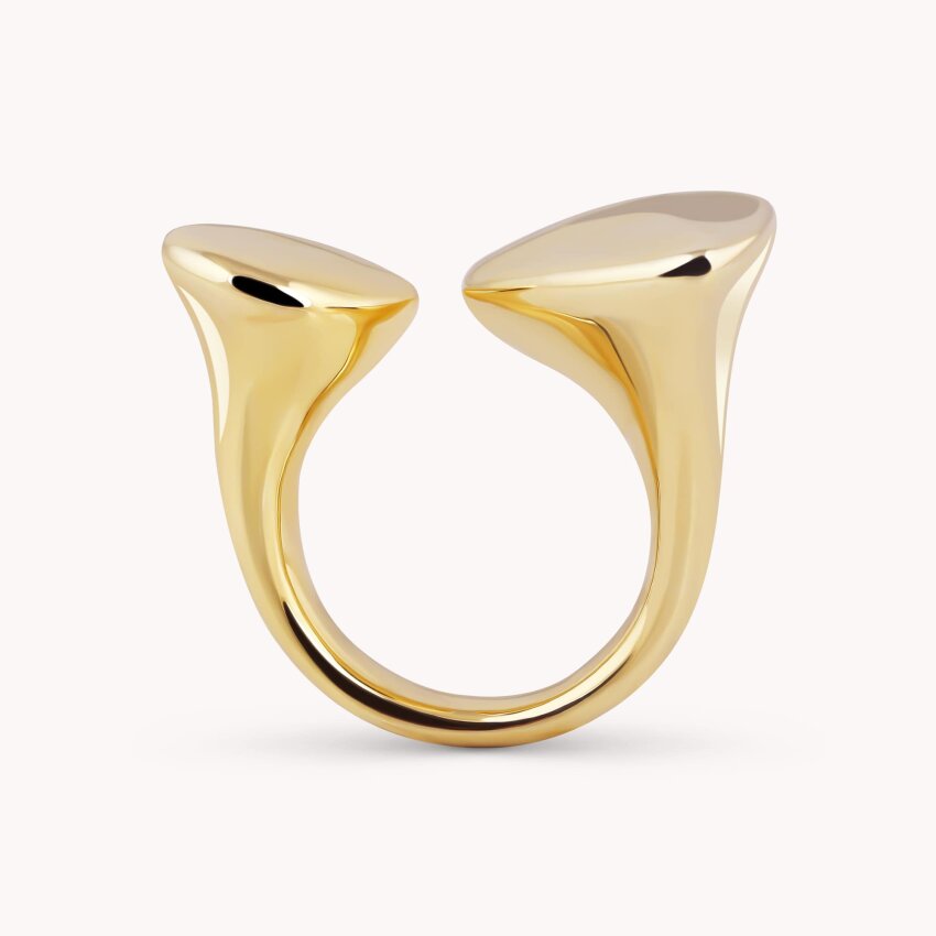 Srebrni prsten Prekrasna veza pozlata