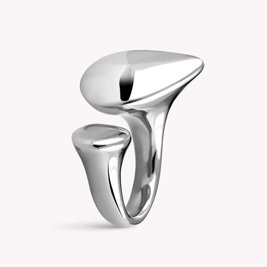 Srebrni prsten Odraz karaktera