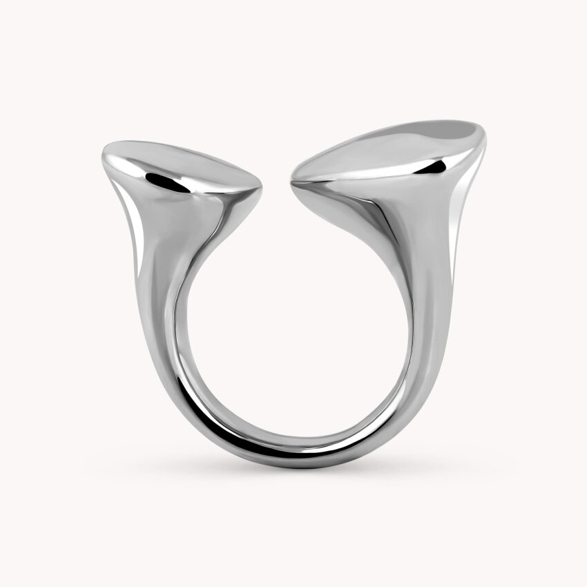 Srebrni prsten Odraz karaktera