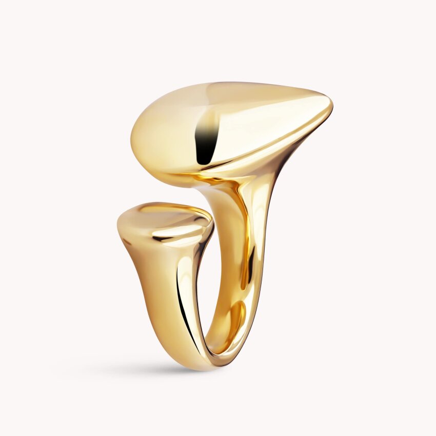 Srebrni prsten Odraz karaktera pozlata