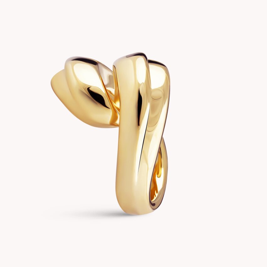 Srebrni prsten Odraz posebnosti pozlata