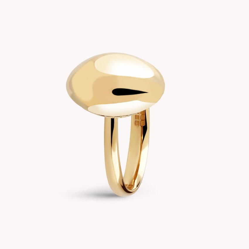 Zlatni prsten Profinjeni krug