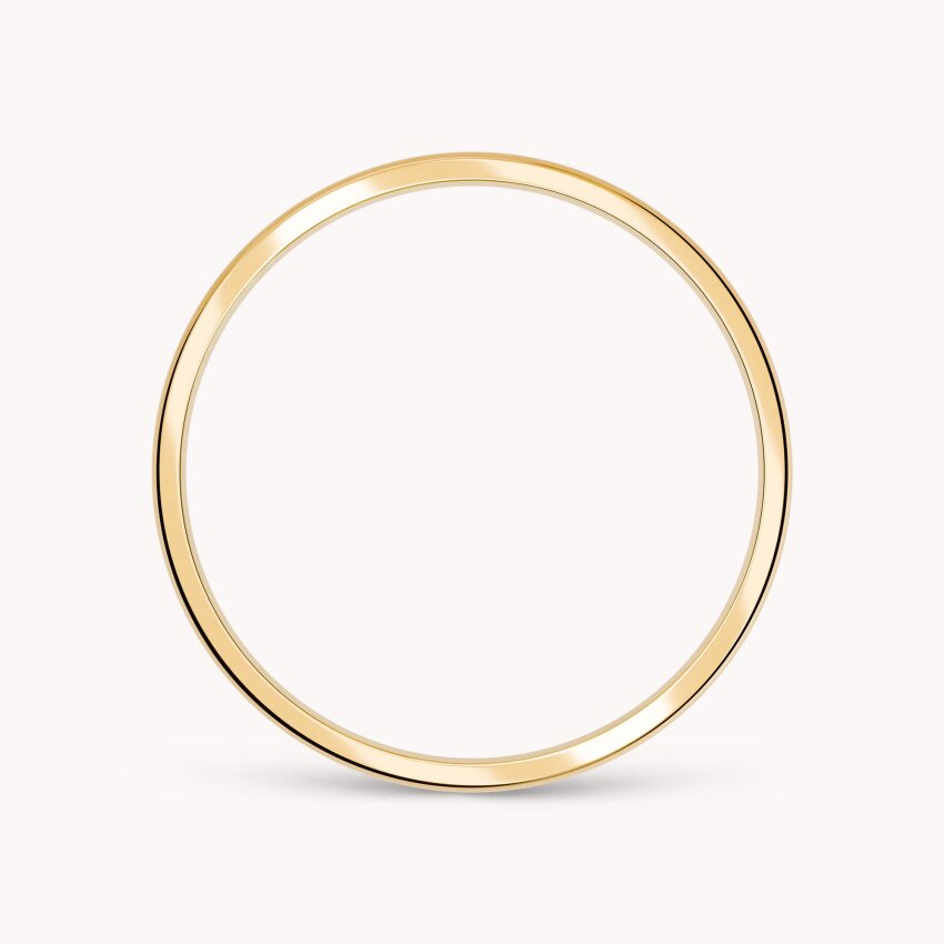 Vjenčani prsten Vječno obećanje PA041