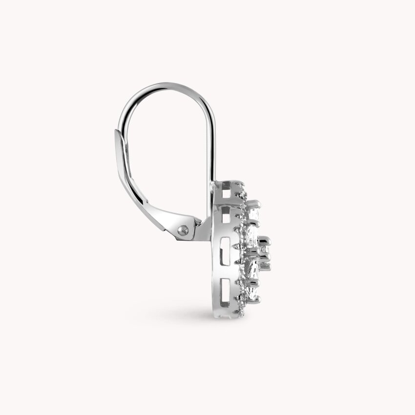 Srebrne naušnice Sjajni cvat