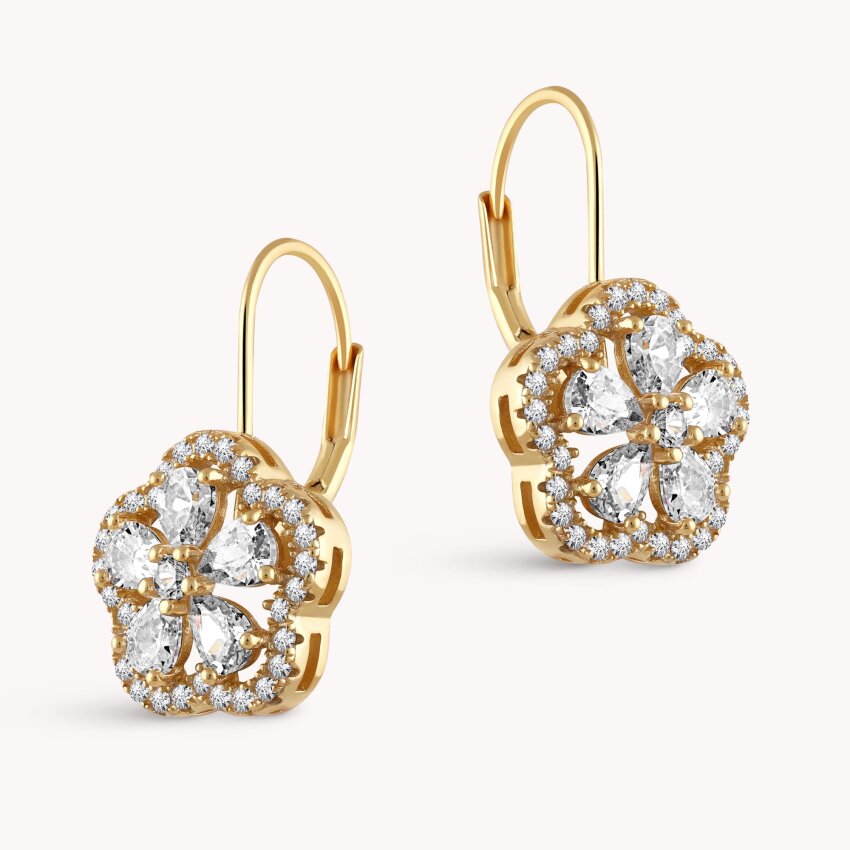 Srebrne naušnice Sjajni cvat pozlata