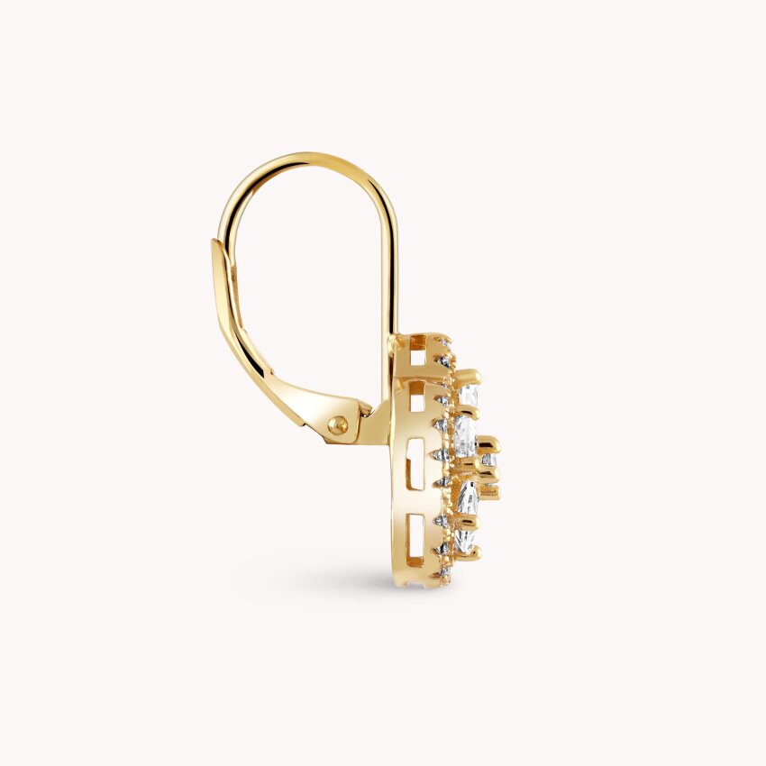 Srebrne naušnice Sjajni cvat pozlata