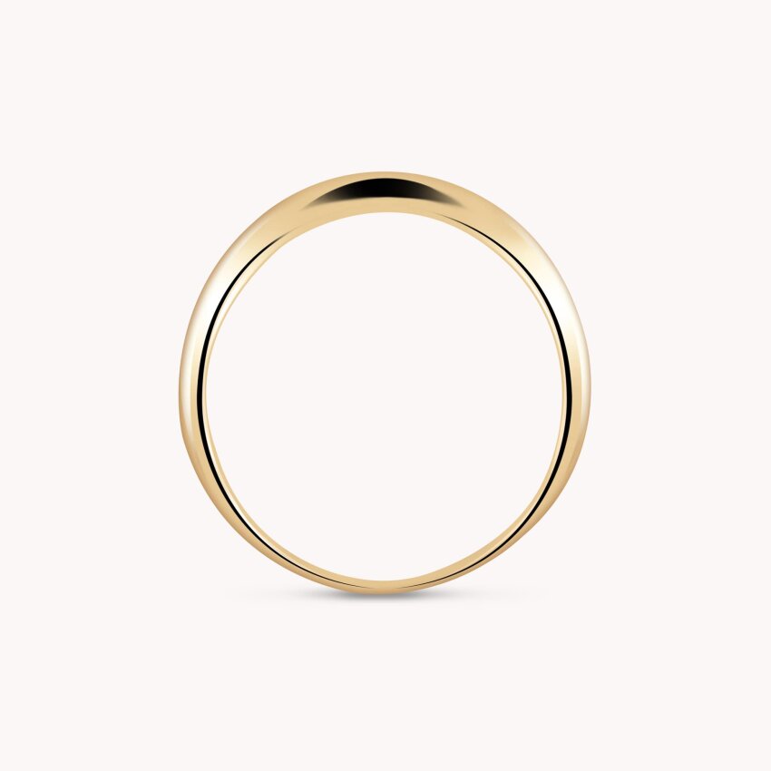 Zlatni prsten Posebnost detalja